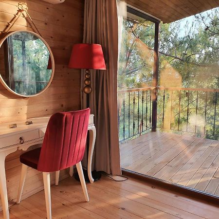 Rocas Roja Beach Hotel 파랄리아 외부 사진