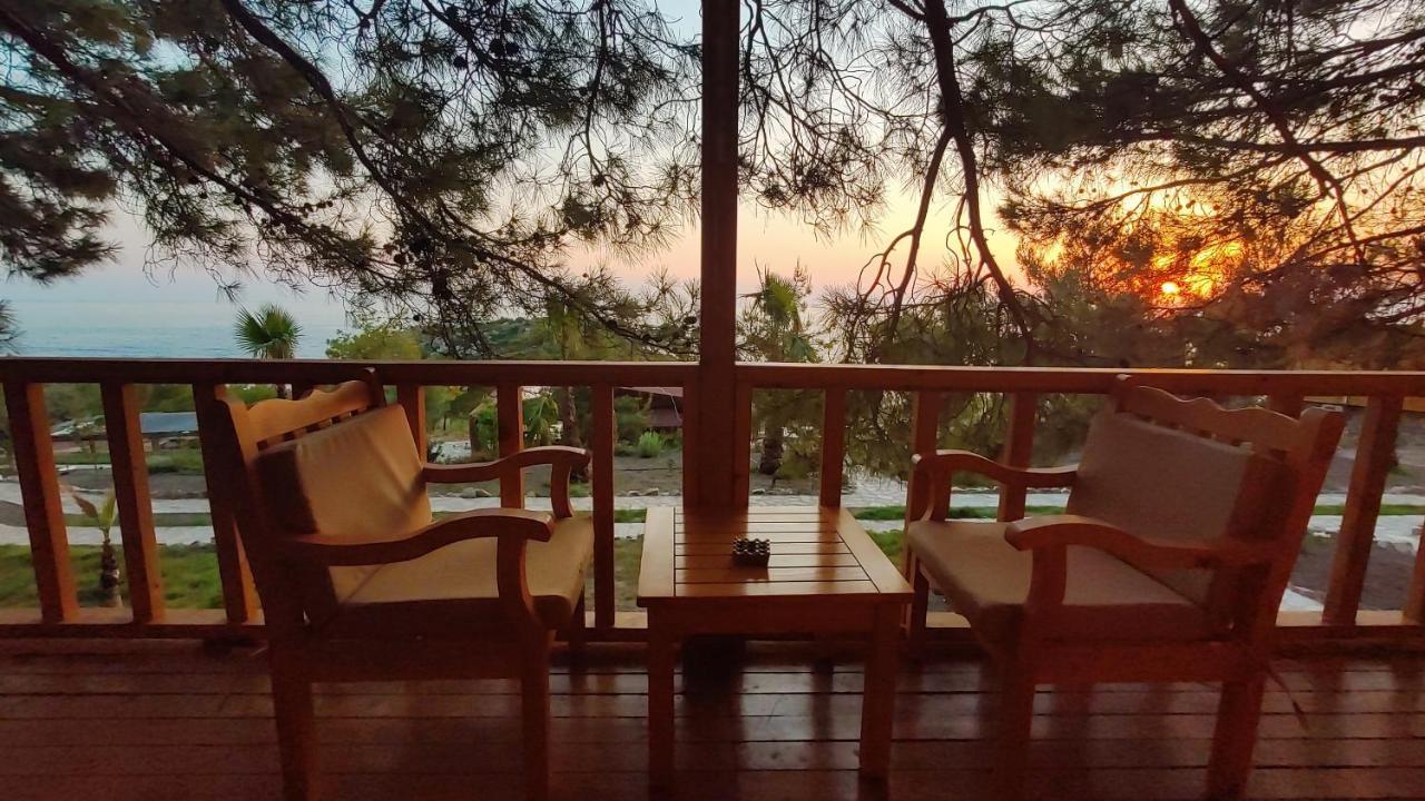 Rocas Roja Beach Hotel 파랄리아 외부 사진