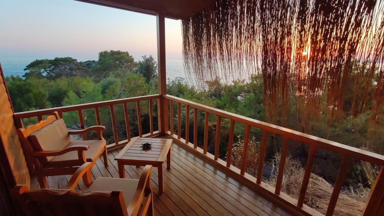 Rocas Roja Beach Hotel 파랄리아 외부 사진