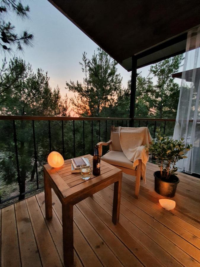 Rocas Roja Beach Hotel 파랄리아 외부 사진