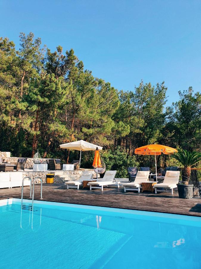 Rocas Roja Beach Hotel 파랄리아 외부 사진