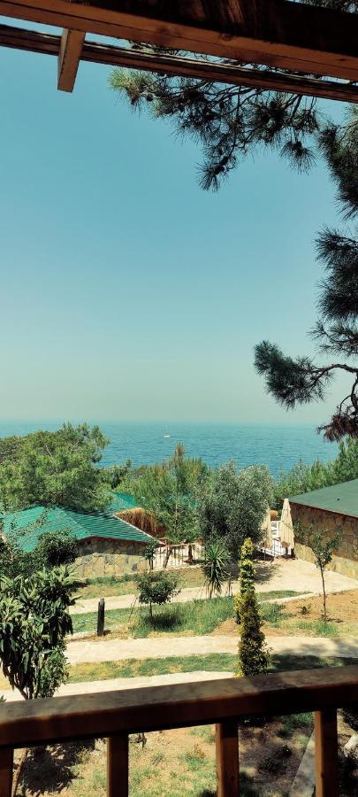 Rocas Roja Beach Hotel 파랄리아 외부 사진