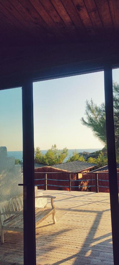 Rocas Roja Beach Hotel 파랄리아 외부 사진