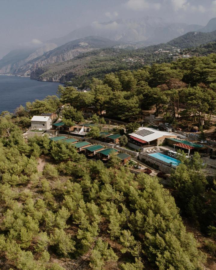 Rocas Roja Beach Hotel 파랄리아 외부 사진