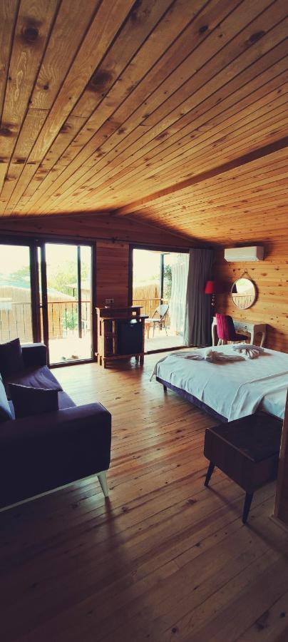 Rocas Roja Beach Hotel 파랄리아 외부 사진