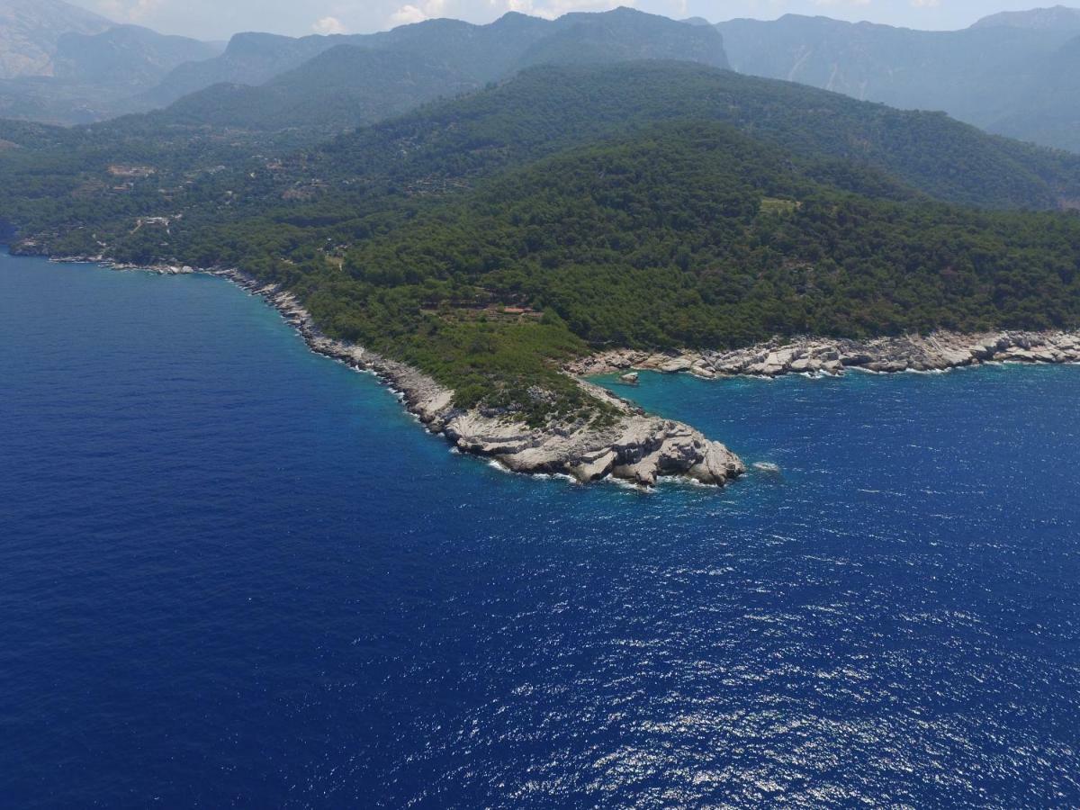 Rocas Roja Beach Hotel 파랄리아 외부 사진